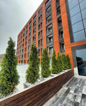 Cozy apartment in Alvina complex